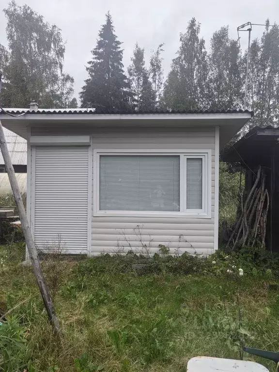 Участок в Ленинградская область, Гатчинский муниципальный округ, ... - Фото 1