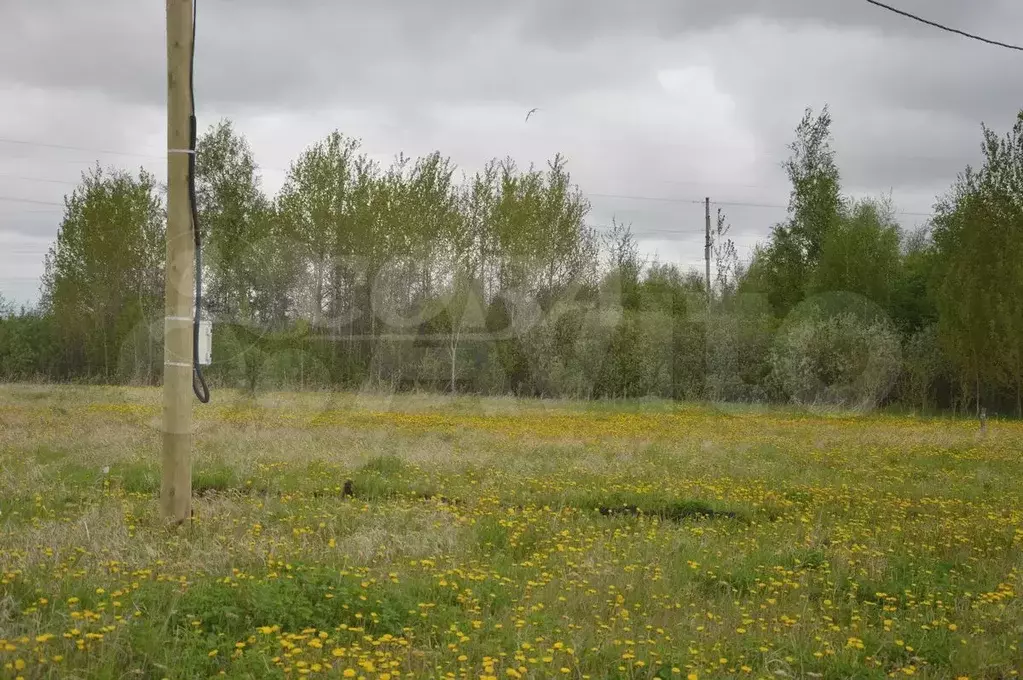 Участок 6,4 сот. (ИЖС) - Фото 1