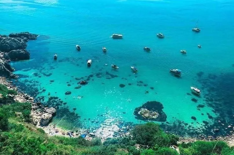 1-к кв. Севастополь ш. Фиолентовское, 134к3 (30.0 м) - Фото 2