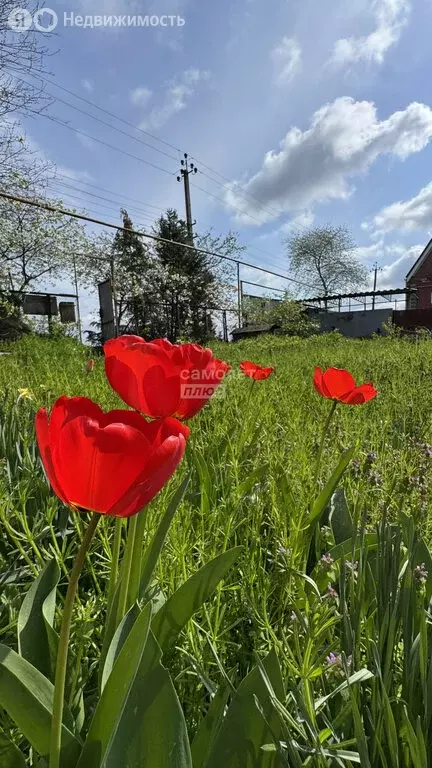 Дом в станица Переясловская, улица Гоголя, 36 (68 м) - Фото 2