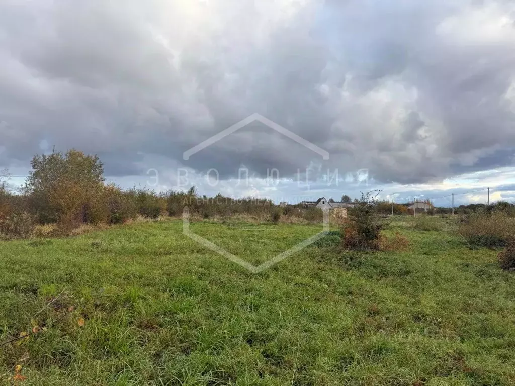 Участок в Калининградская область, Балтийский городской округ, пос. ... - Фото 1