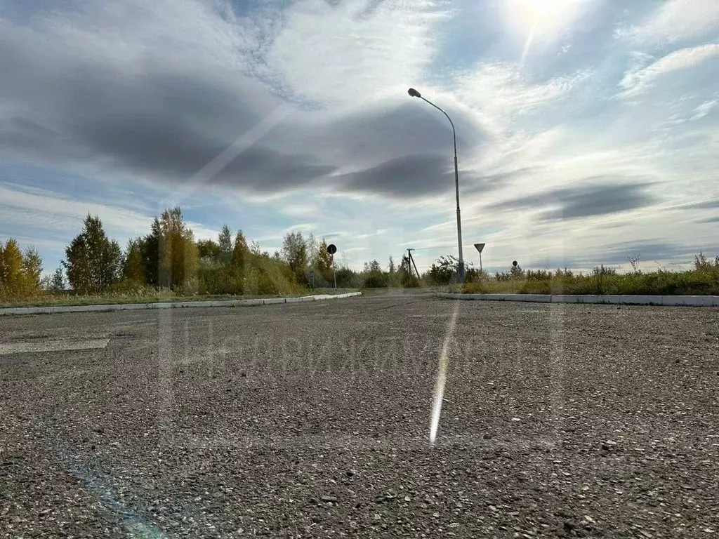 Участок в Омская область, Азовский Немецкий Национальный район, с. ... - Фото 2