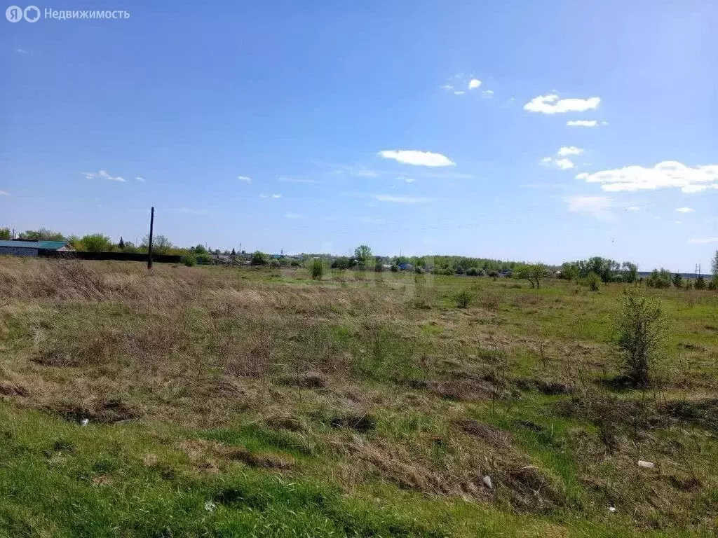 Участок в Пласт, улица Ленина (15 м) - Фото 2