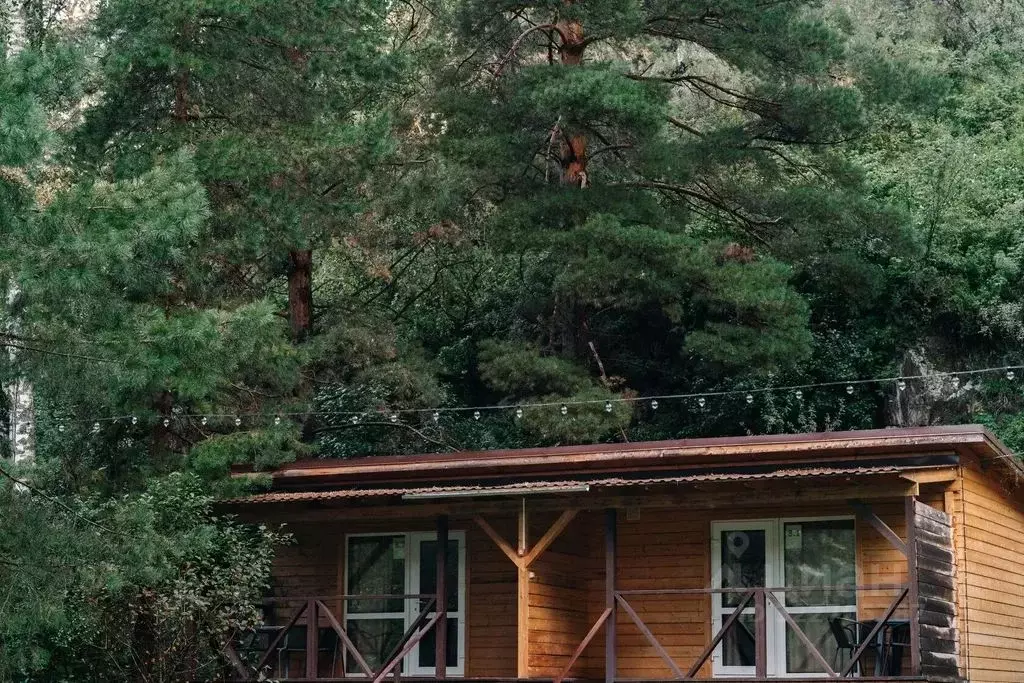 Дом в Алтай, Майминский район Р-256 Чуйский тракт, 469-й км, 1 (16 м) - Фото 1