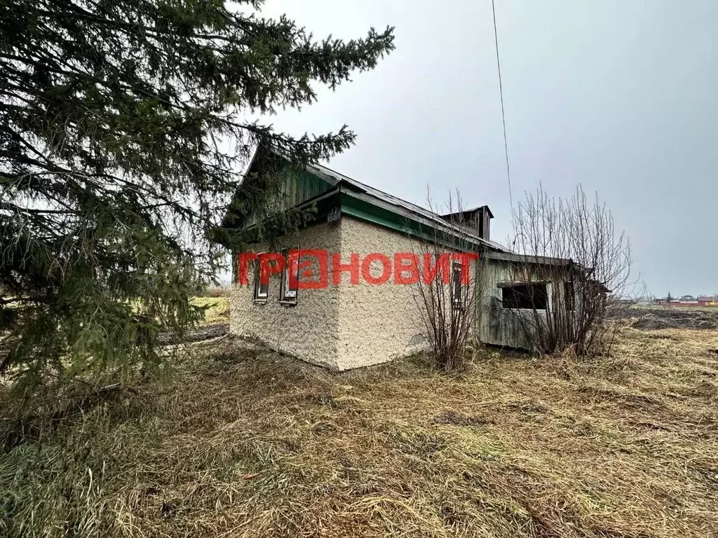 Дом в Новосибирская область, Ордынский район, с. Кирза Боровая ул., 13 ... - Фото 1