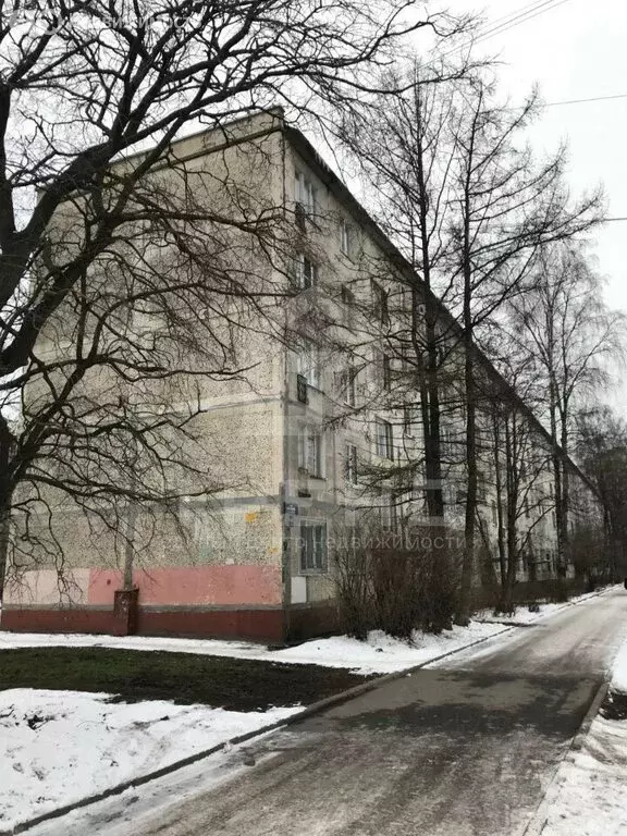 1-комнатная квартира: Санкт-Петербург, улица Бабушкина, 115к1 (30.4 м) - Фото 1