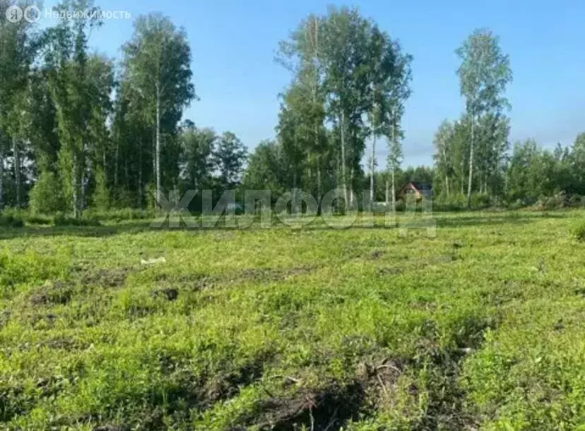 Участок в Раздольненский сельсовет, СНТ Надежда (11.97 м) - Фото 0