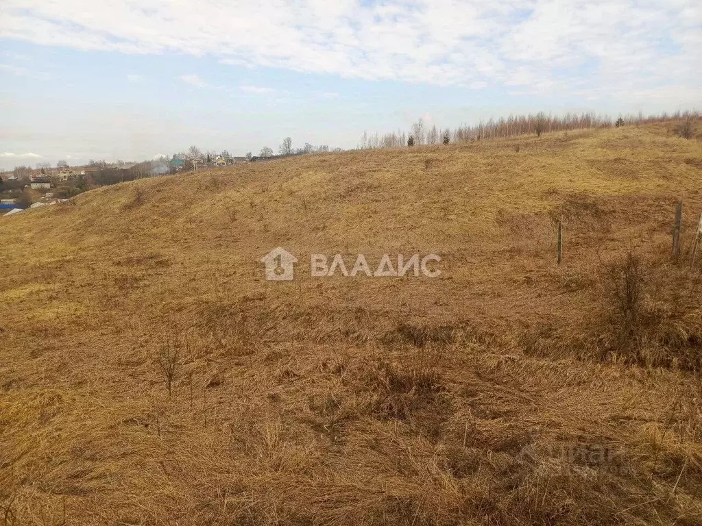 Участок в Нижегородская область, Нижний Новгород городской округ, д. ... - Фото 1