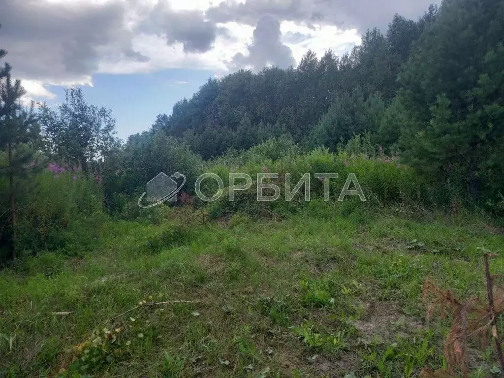 Участок в Тюменская область, Нижнетавдинский район, д. Московка  (12.0 ... - Фото 0