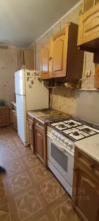 Комната Ярославская область, Ярославль ул. Собинова, 50к2 (14.0 м) - Фото 1