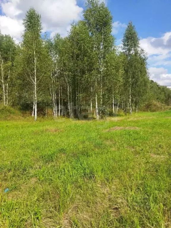 Участок в Тюменская область, Тюменский район, Онегин кп  (7.81 сот.) - Фото 0