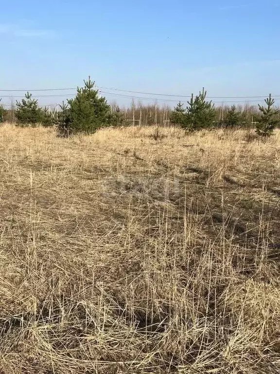 Участок в Нижегородская область, Кстовский муниципальный округ, д. ... - Фото 1