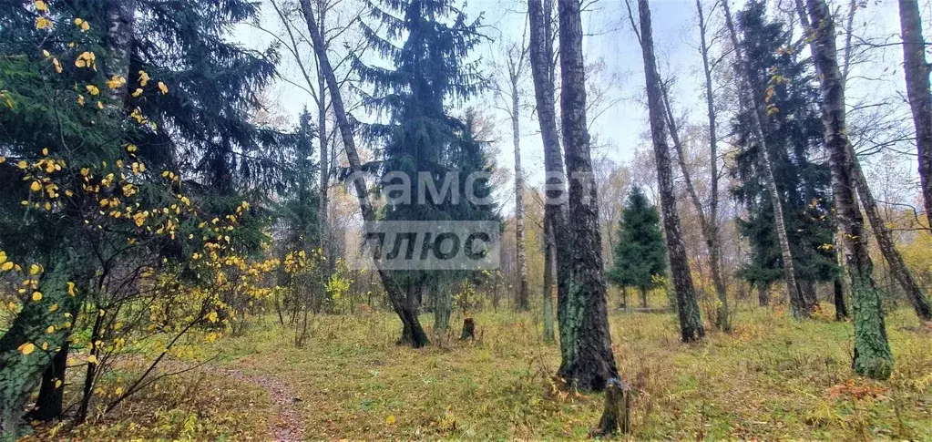 Участок в Московская область, Одинцовский городской округ, с. ... - Фото 2
