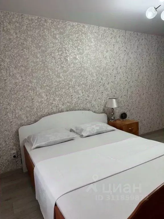 1-к кв. Пензенская область, Пенза ул. Тухачевского, 94 (65.0 м) - Фото 1