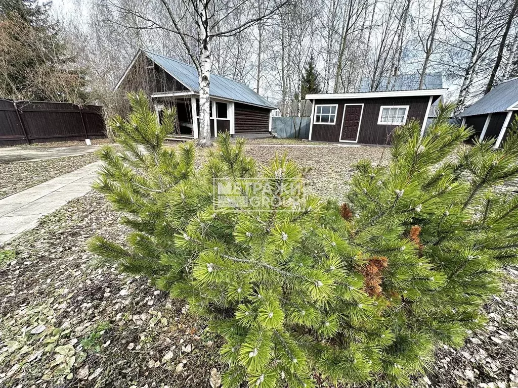 Дом в Московская область, Щелково городской округ, СНТ Купавинка тер. ... - Фото 0