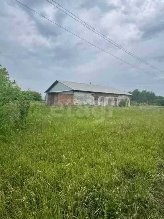 Производственное помещение в Тамбовская область, Рассказовский ... - Фото 2
