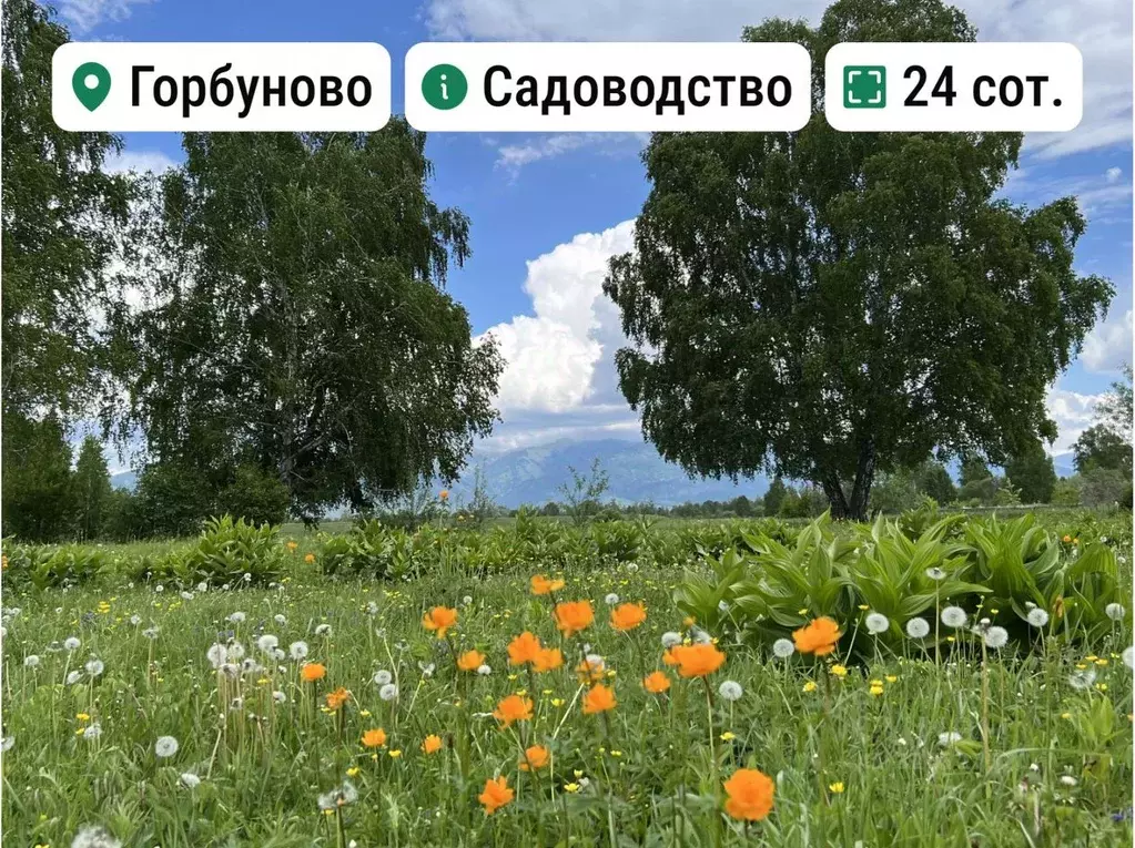 Участок в Алтай, Усть-Коксинский район, с. Горбуново  (24.0 сот.) - Фото 1