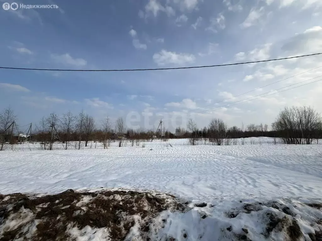 Участок в Архангельская область, Приморский муниципальный округ, ... - Фото 2