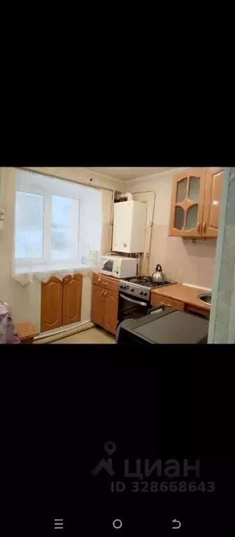 2-к кв. Татарстан, Альметьевский район, Нижняя Мактама пгт ул. ... - Фото 2