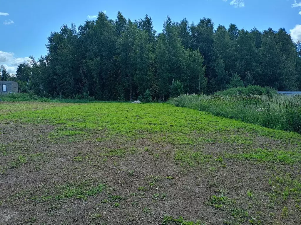 Участок в Тюменская область, Тюменский район, д. Якуши  (12.0 сот.) - Фото 1