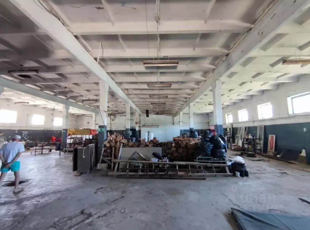 Помещение свободного назначения в Самарская область, Кинельский район, ... - Фото 1