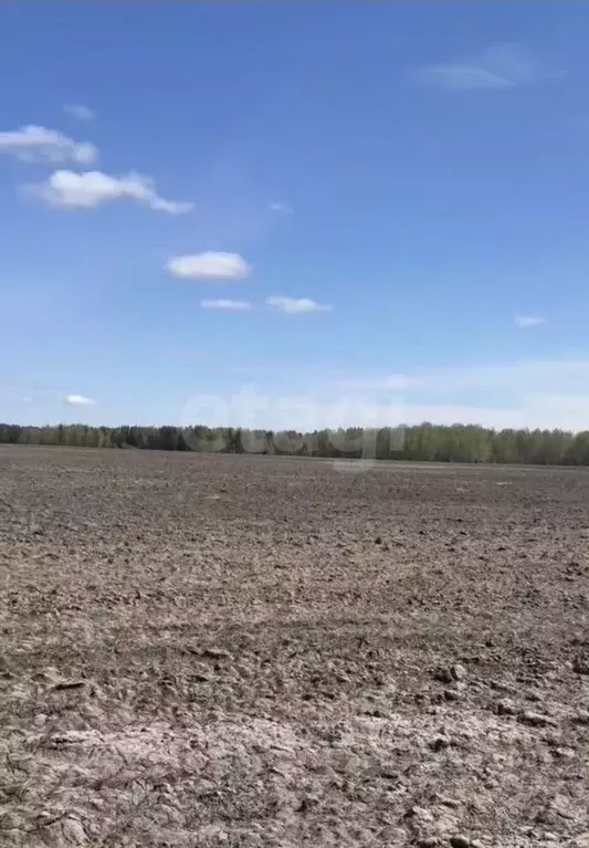 Участок в Тюменская область, Тюменский район, Новокаменский кп  (6.0 ... - Фото 0