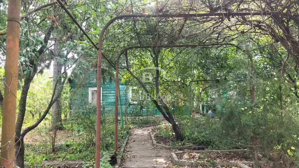 Участок 6 сот. (СНТ, ДНП) - Фото 1