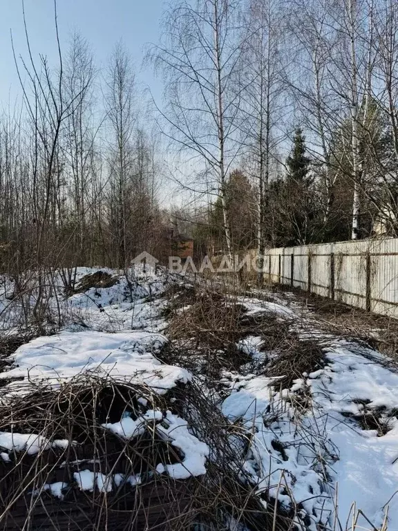 Участок в Московская область, Мытищи городской округ, д. Чиверево, ... - Фото 1