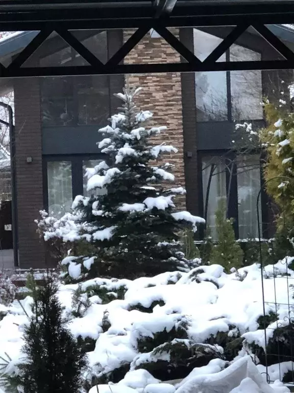 Коттедж в Московская область, Дедовск г. Истра муниципальный округ, ... - Фото 0