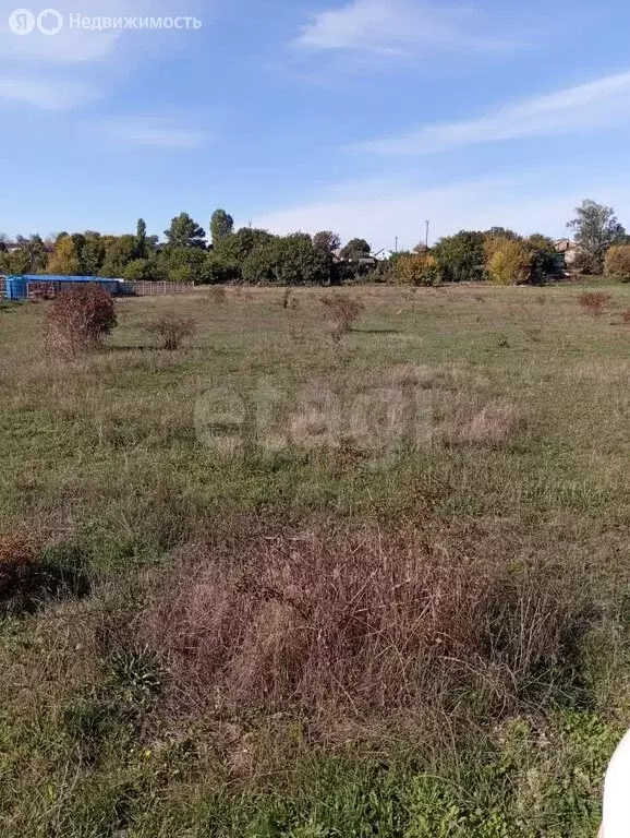 Участок в Ароматное, Добрая улица (15 м) - Фото 2