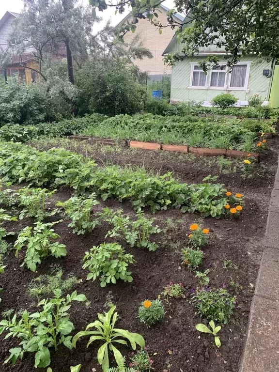 Дом в Свердловская область, Екатеринбург Садовод СНТ, № 7 КС,  (34 м) - Фото 2