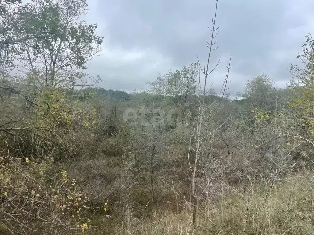 Участок в Северная Осетия, Алагир ул. Караева (5.0 сот.) - Фото 1