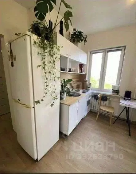 Студия Иркутская область, Иркутск Зимняя ул., 1/4 (27.2 м) - Фото 1