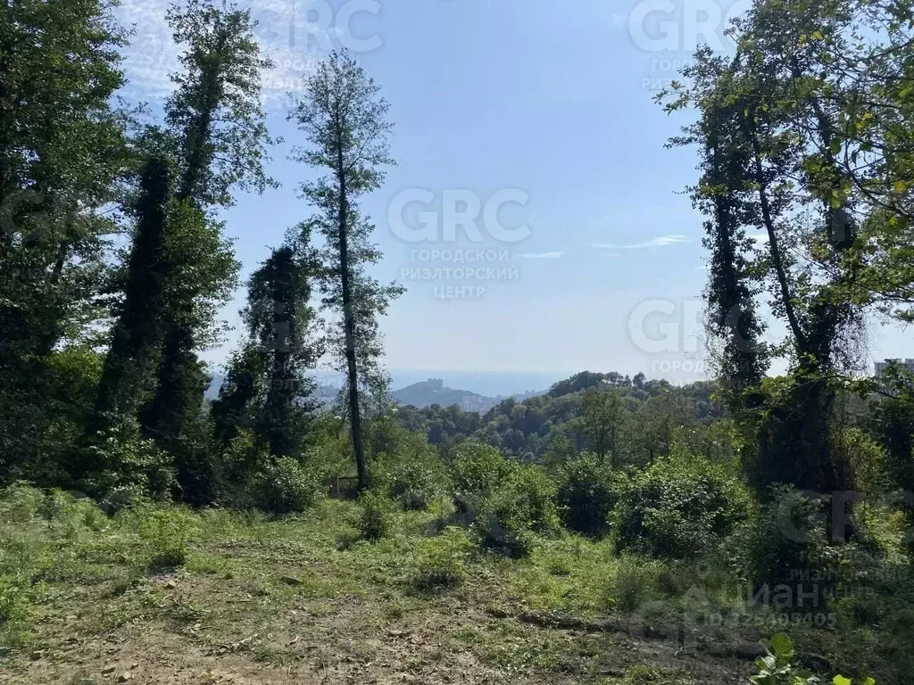 Участок в Краснодарский край, Сочи городской округ, с. Богушевка ул. ... - Фото 0