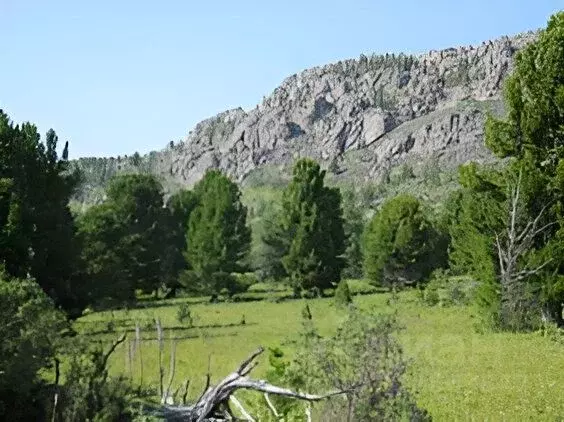Участок в Алтай, Шебалинский район, с. Барагаш  (1.6 сот.) - Фото 0