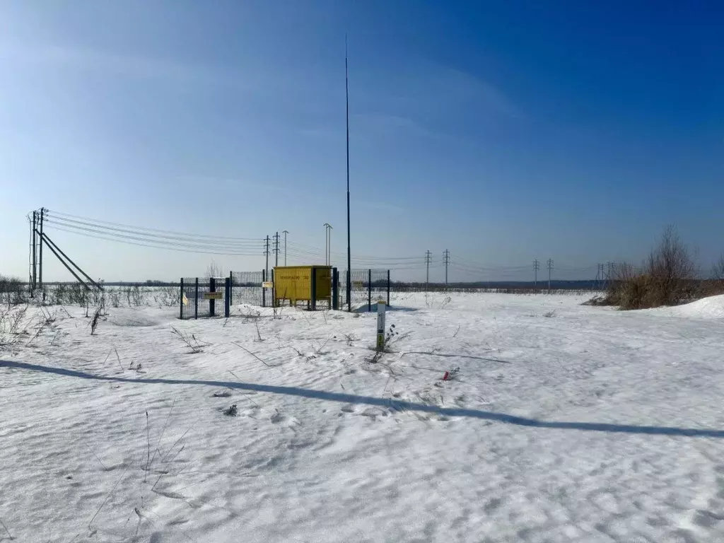 Участок в Московская область, Талдомский городской округ, д. Танино  ... - Фото 2