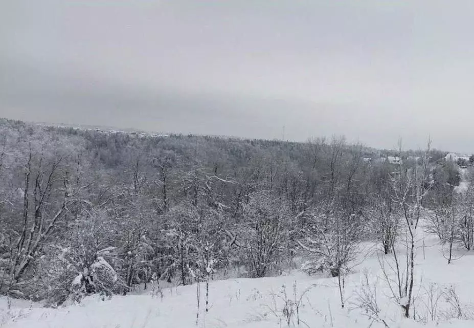 Участок в Московская область, Дмитровский муниципальный округ, с. ... - Фото 1
