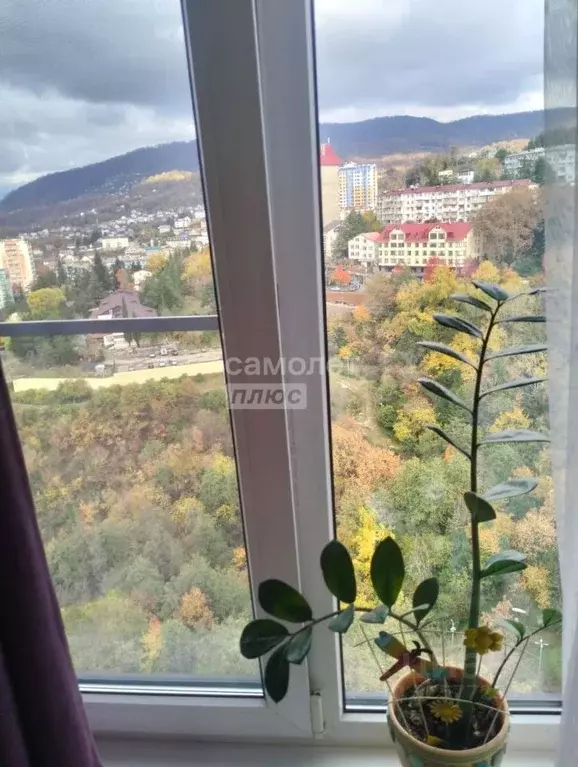 Студия Краснодарский край, Сочи Вишневая ул., 5А (27.0 м) - Фото 2