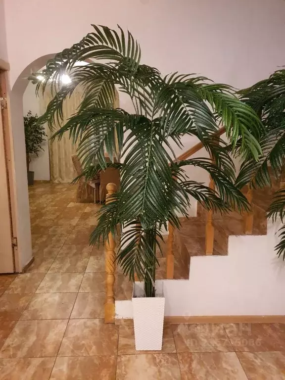 Коттедж в Московская область, Балашиха Салтыковка мкр, ул. Лесные ... - Фото 2