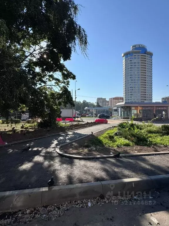 Помещение свободного назначения в Москва Профсоюзная ул., 54 (49 м) - Фото 0