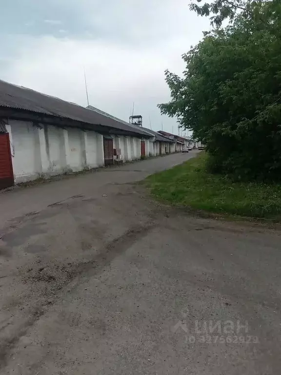 Склад в Московская область, Ногинск Богородский городской округ, ул. ... - Фото 1