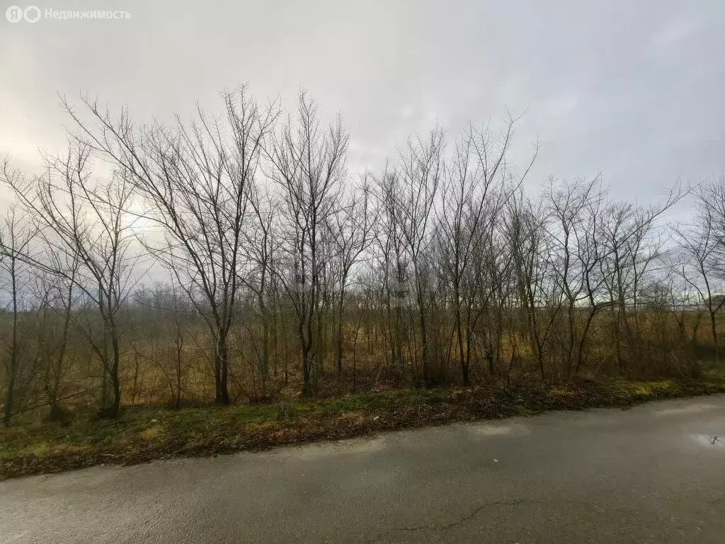 Участок в Горожанка, Центральная улица (1000 м) - Фото 2