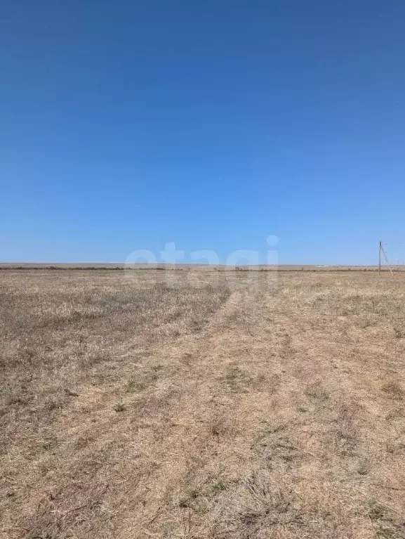 Участок в Крым, Черноморский район, с. Окуневка  (348.05 сот.) - Фото 0