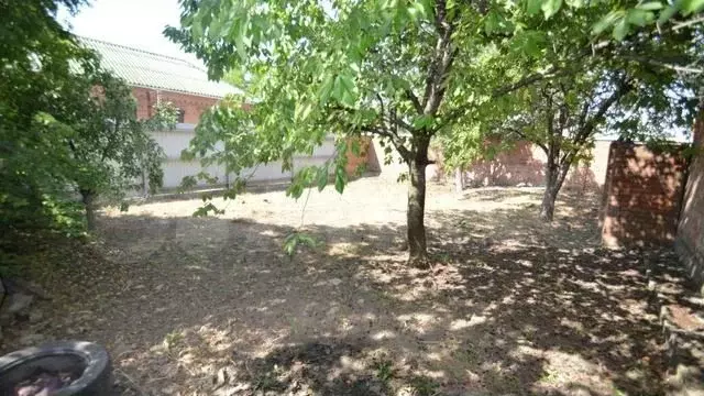 Участок 8 сот. (ИЖС) - Фото 1