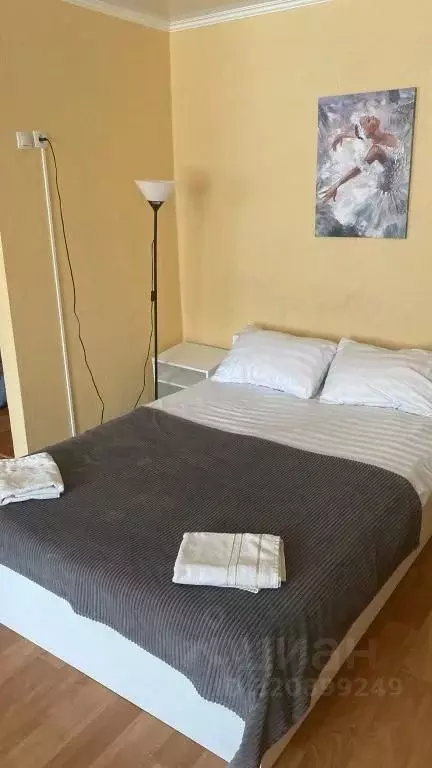 1-к кв. Башкортостан, Уфа ул. Ленина, 31/33 (32.0 м) - Фото 2