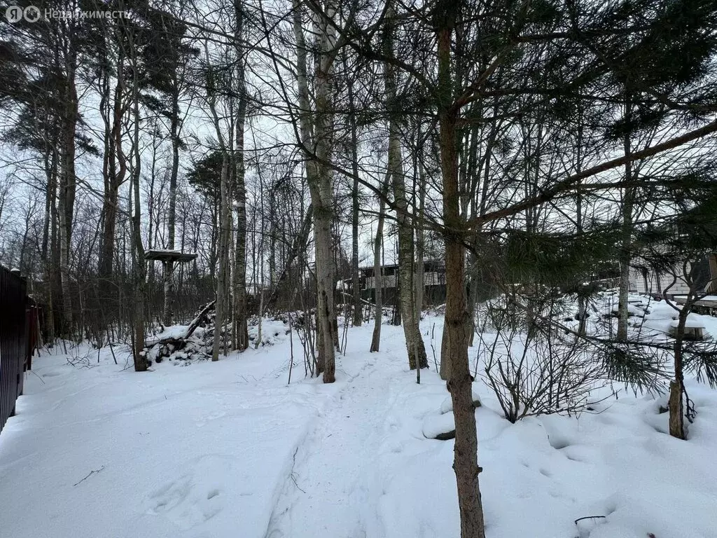Участок в городской посёлок Лебяжье, Красногорская улица (12 м) - Фото 1