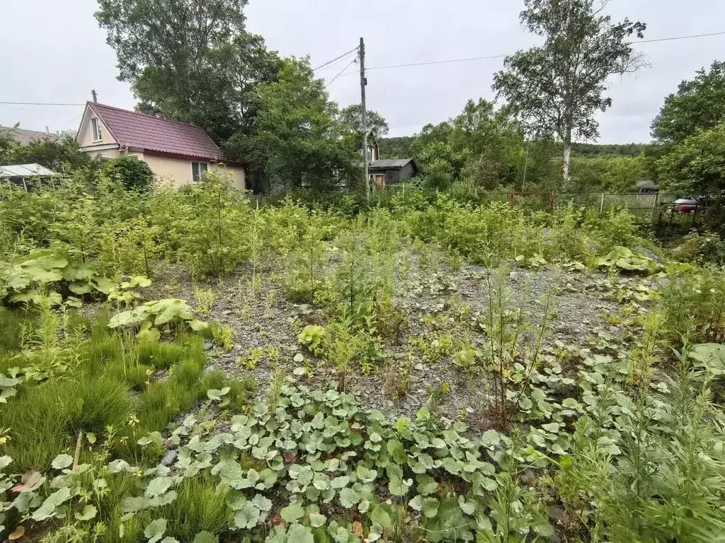 Участок в Сахалинская область, Анивский городской округ, с. Троицкое, ... - Фото 1