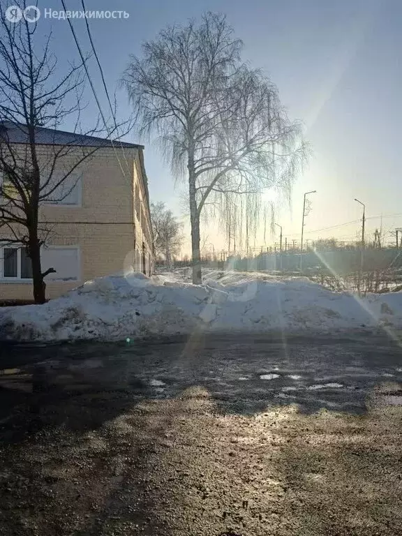 1-комнатная квартира: Саратовская область, рабочий посёлок Татищево, ... - Фото 2