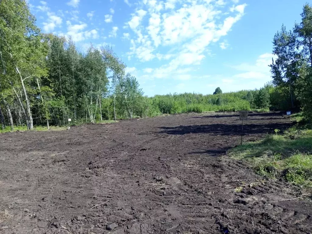 Участок в Алтайский край, Барнаул городской округ, пос. Бельмесево ул. ... - Фото 1