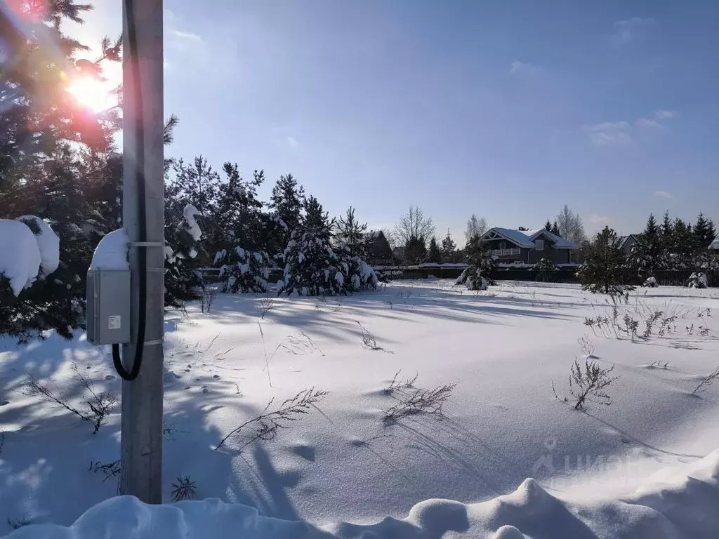 Участок в Московская область, Раменский муниципальный округ, д. Жирово ... - Фото 2